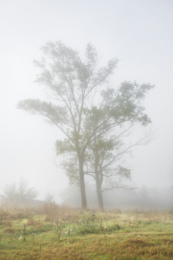 Exploring the Influence of Weather on Performance in Outdoor Bowling Championships